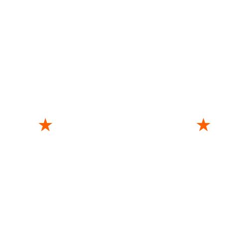 Online Gun Dealer